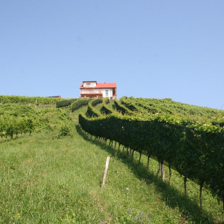 Rebenchalet - Ferienhaus mit 4 Zimmern - 13