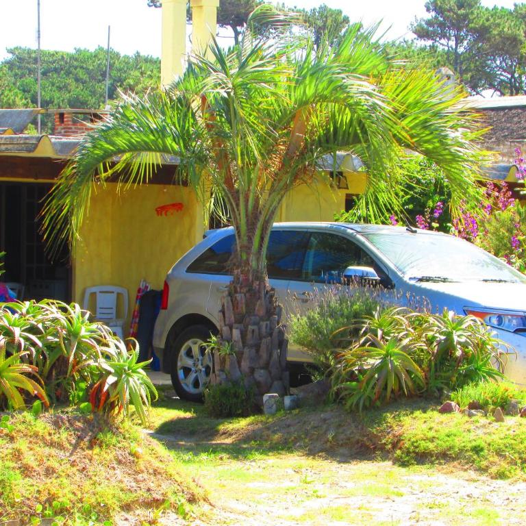 La Nueva Ensenada - Apartamento - Planta baja - 5