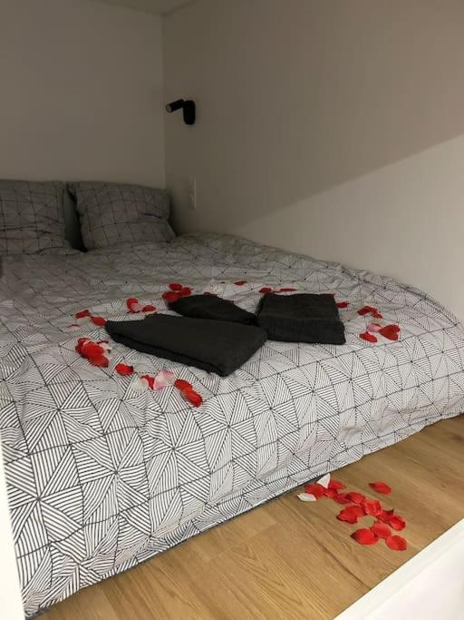 Studio neuf tout équipé Digne - Appartement 1 Chambre - 21