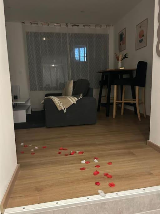 Studio neuf tout équipé Digne - Appartement 1 Chambre - 29