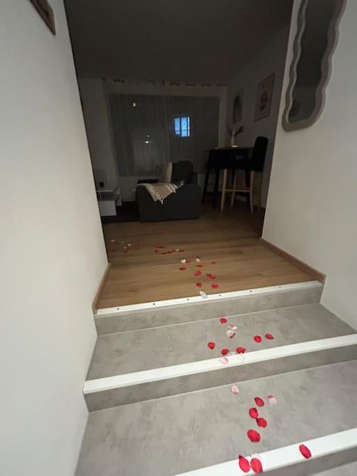 Studio neuf tout équipé Digne - Appartement 1 Chambre - 37