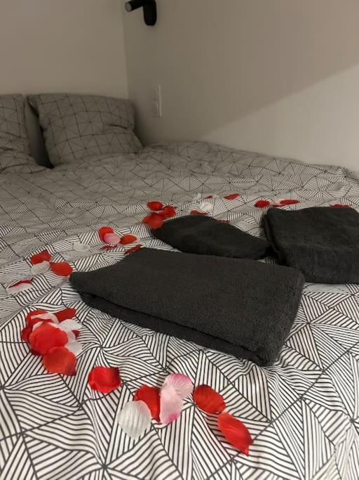 Studio neuf tout équipé Digne - Appartement 1 Chambre - 45