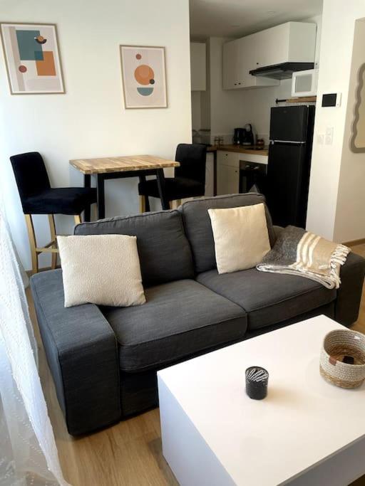 Studio neuf tout équipé Digne - Appartement 1 Chambre - 47
