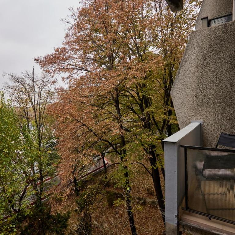 Best choice Hram centar - Apartman sa 1 Spavaćom Sobom - 13