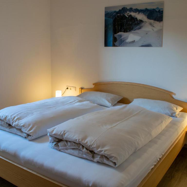 Reichenspitzblick Appartement - Apartment mit 2 Schlafzimmern und Bergblick - 20