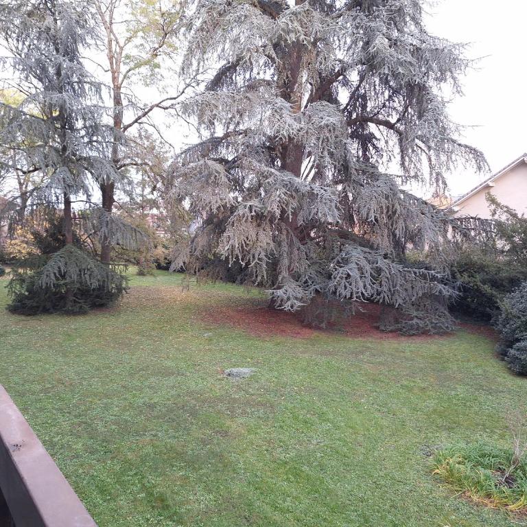 Charmant studio au calme dans le parc - Appartement 1 Chambre - 7
