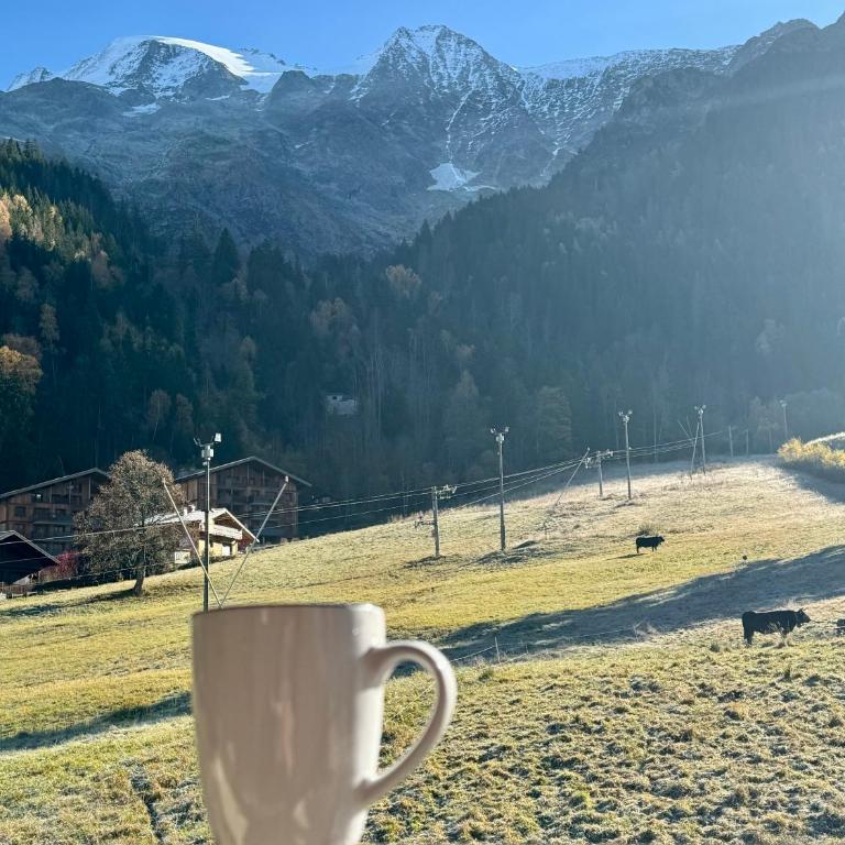 Superbe appartement rénové 110m2 - 9 pers - 4 étoiles - vue montagne - Les Contamines - Apartment - 19