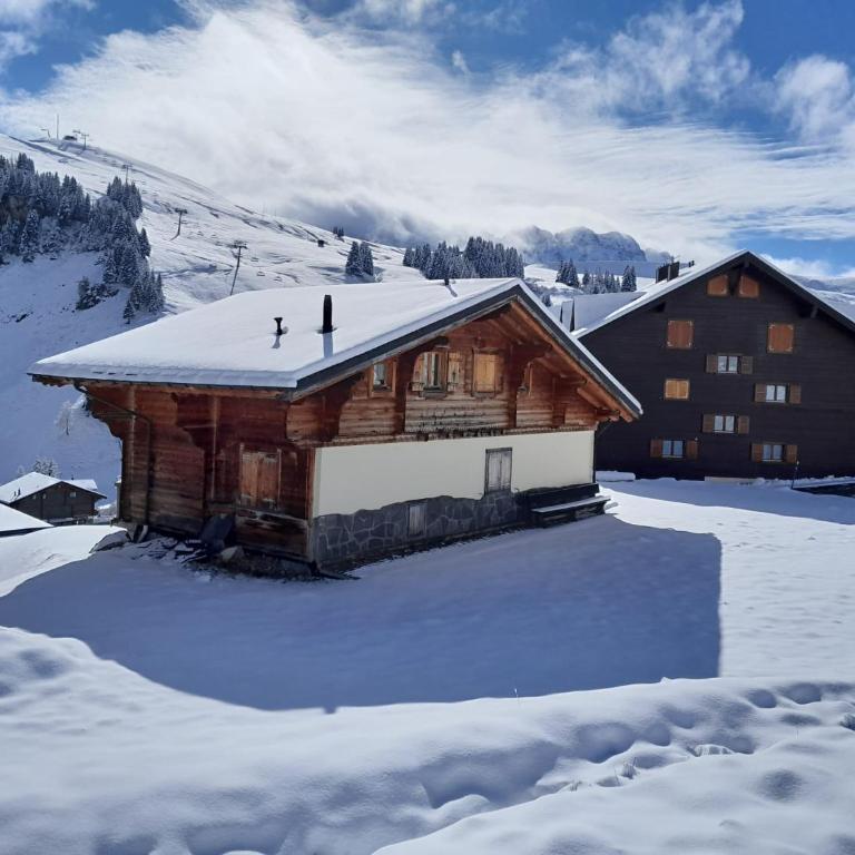 Le Pacheu - Chalet - 4
