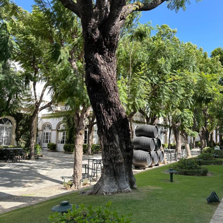Casita de la playa en Durango - Apartamento de 3 dormitorios - 15