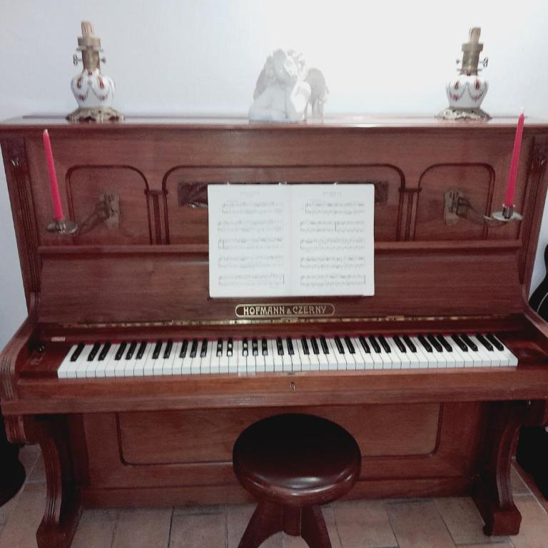 DOMUS GELSOMINO - Appartamento Superior - 58