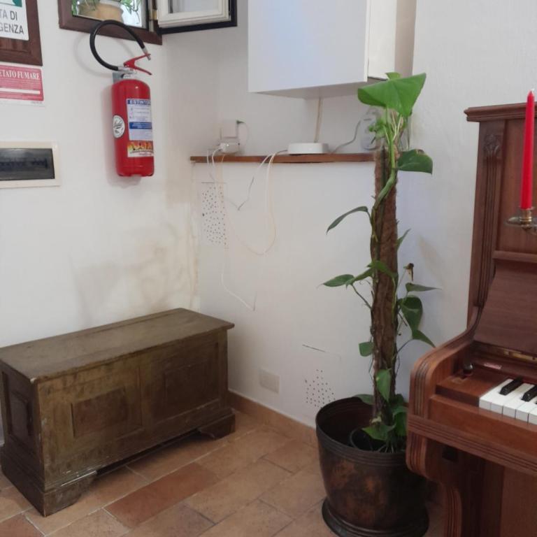 DOMUS GELSOMINO - Appartamento Superior - 57
