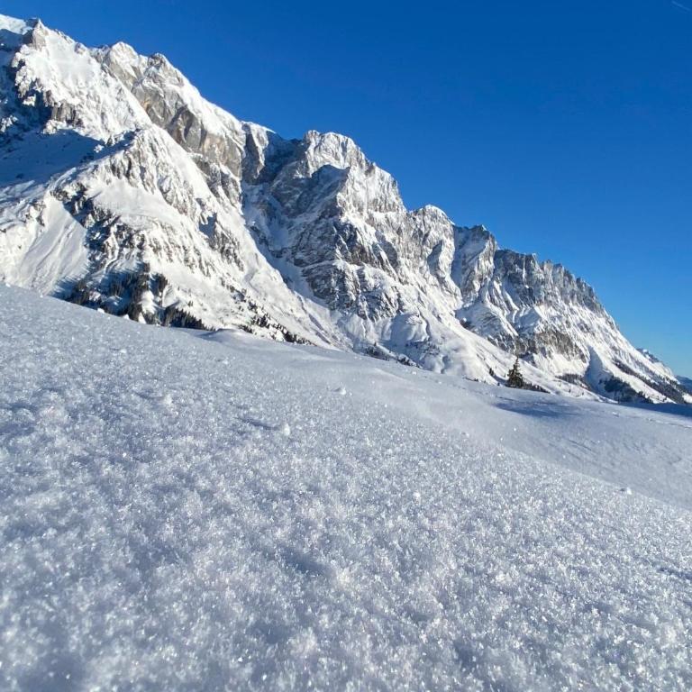 Appartementhaus Hochkönig - Panoramablick - Apartment mit 2 Schlafzimmern - 15