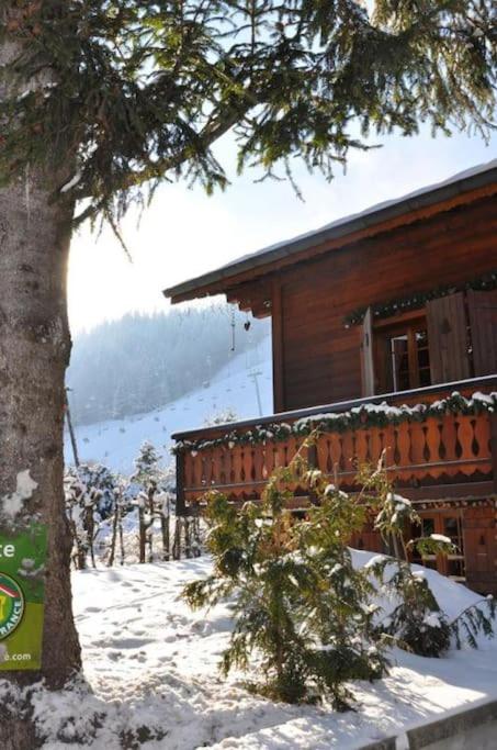 Le Petit Liseron - Chalet - 40