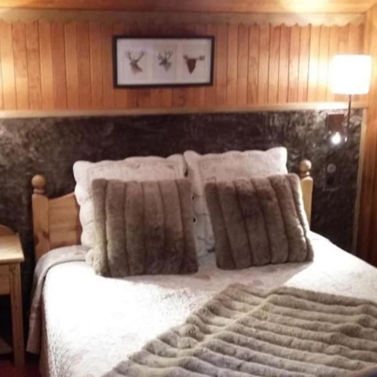 Le Petit Liseron - Chalet - 39