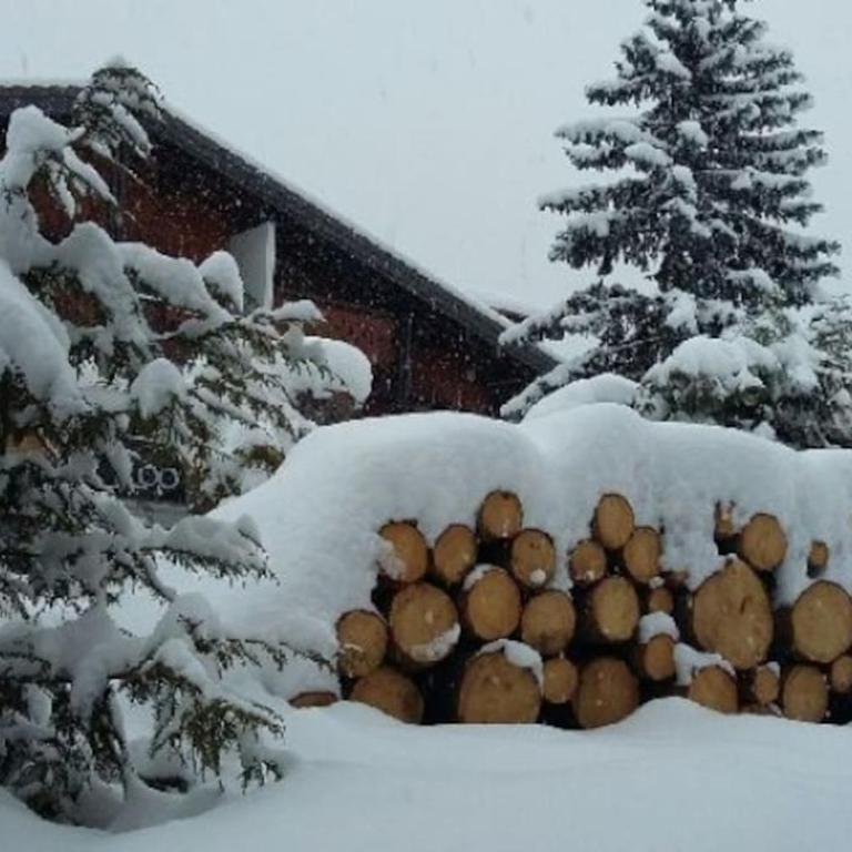 Le Petit Liseron - Chalet - 32