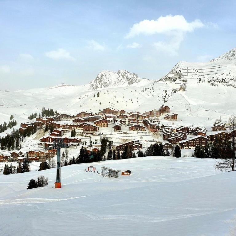 L'Edelweiss, 2050m La Plagne, F2 Haut de gamme - Appartamento - 21