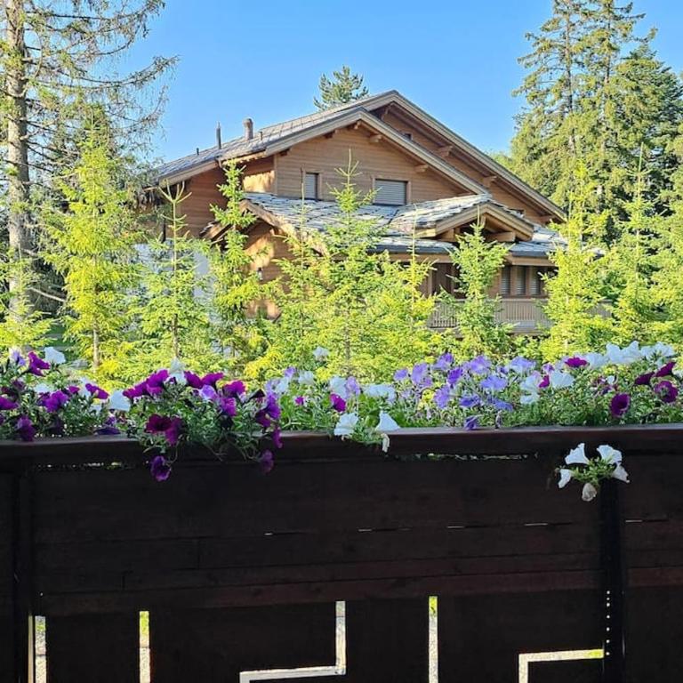 Charming Chalet Downtown - Apartment mit 3 Schlafzimmern - 7