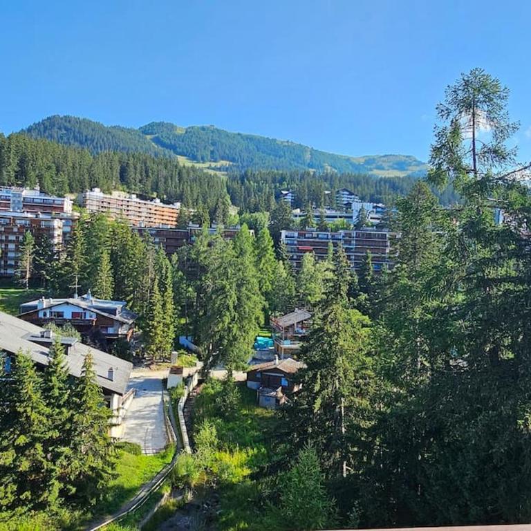 Charming Chalet Downtown - Apartment mit 3 Schlafzimmern - 10