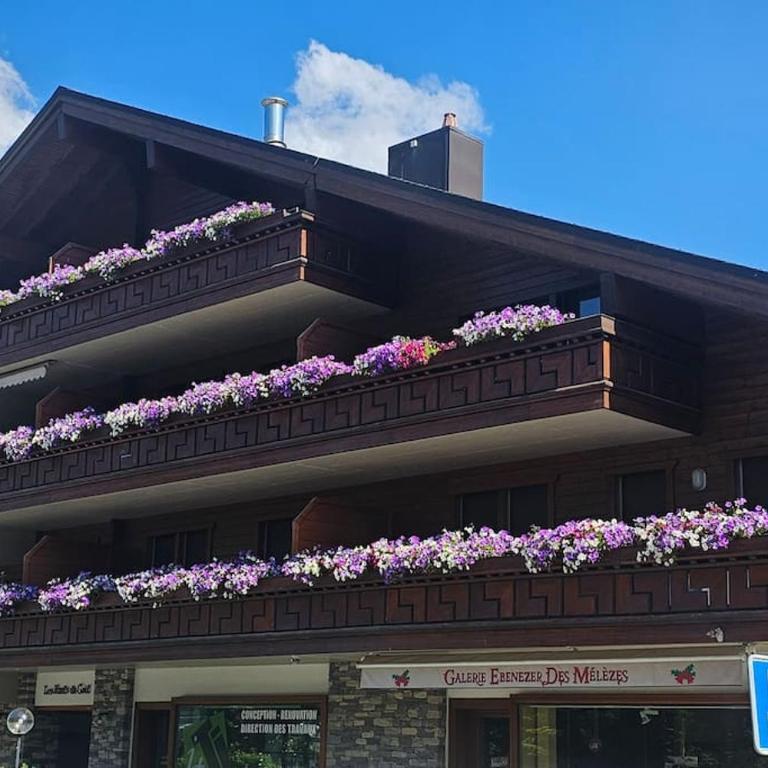 Charming Chalet Downtown - Apartment mit 3 Schlafzimmern - 27