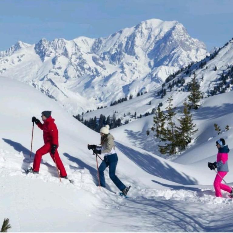 La Cabane - Plagne Village, F2 Ski aux pieds - Apartamento de 1 dormitorio - 27