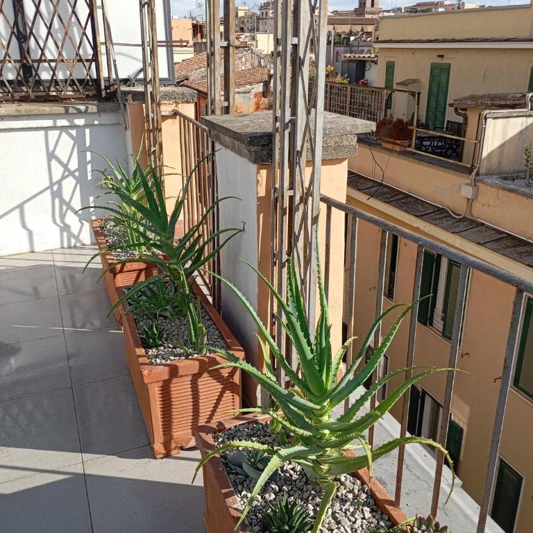 GuestHost - Piazza Venezia&Colosseum Loft - Appartamentino su 2 Livelli - 36