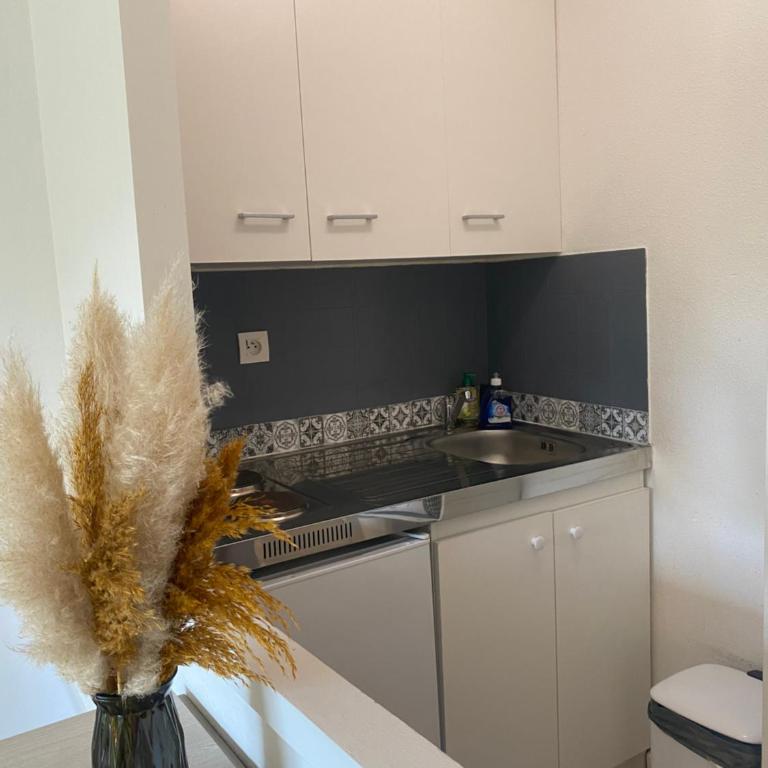 Location à Dax - résidence thermale Borda - Apartment mit 1 Schlafzimmer - 8