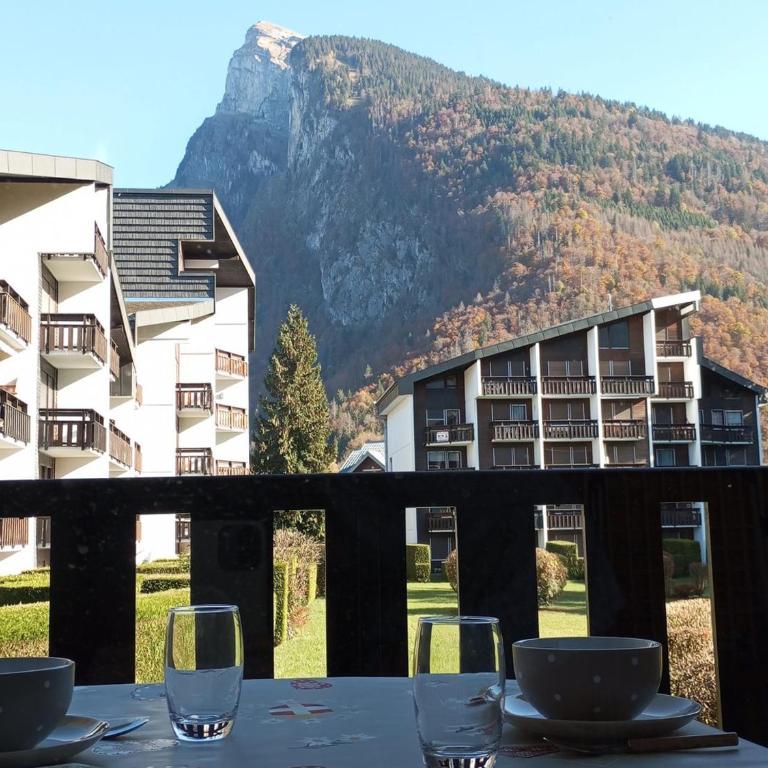 Studio cabine pour 4 pers, animaux acceptés, internet, vue montagne - FR-1-629-136 - Studio - 7