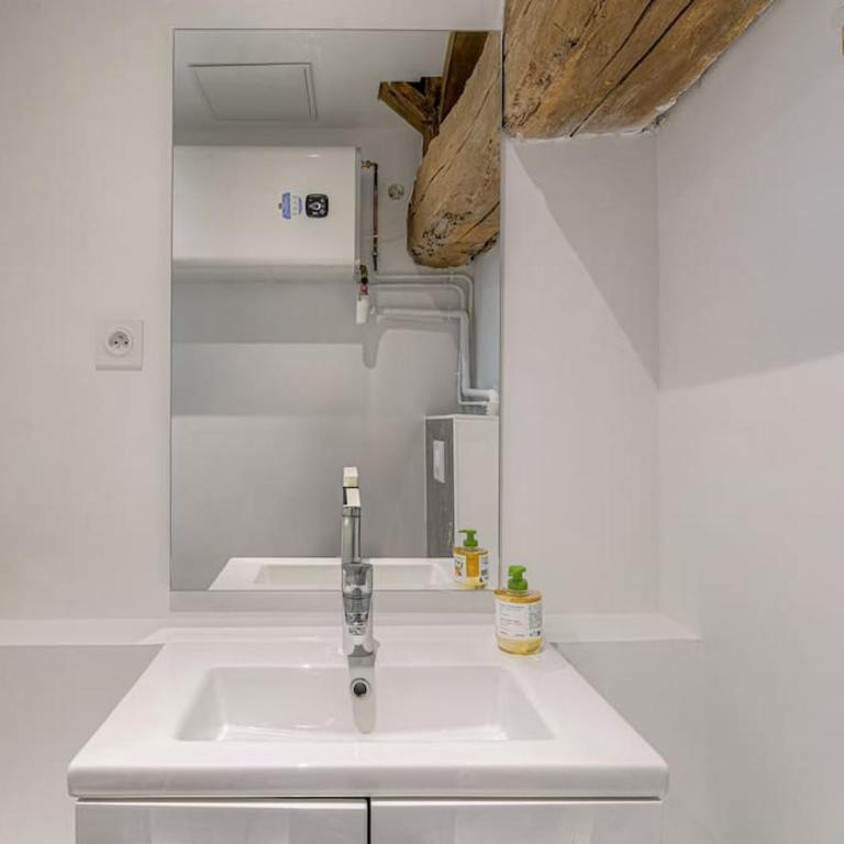 Le Nuremberg - Les appartements de l'olivier - Appartamento con 1 Camera da Letto - 17
