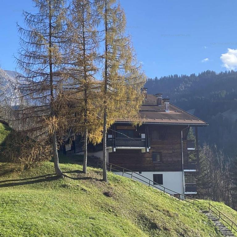 Studio cosy pour 4 au Grand-Bornand avec balcon - FR-1-458-207 - Studio - 11