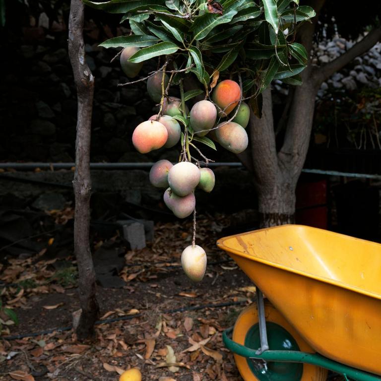 Finca Ecológica Quinta Los Tizones - Villa de 3 dormitorios - 64