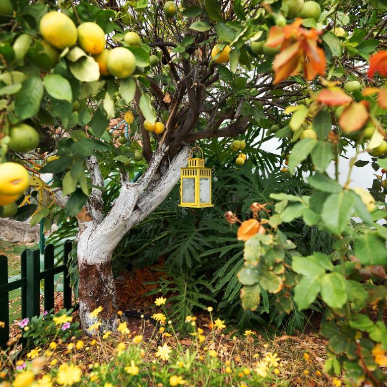 Finca Ecológica Quinta Los Tizones - Villa de 3 dormitorios - 68