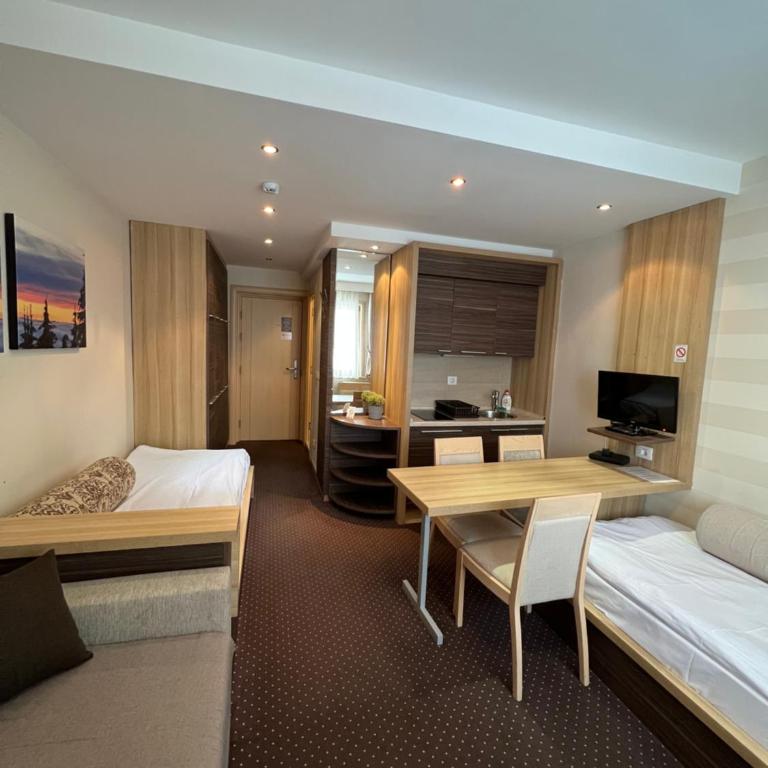 Apartments Suncani Vrhovi Kopaonik - Studio Apartment - 5