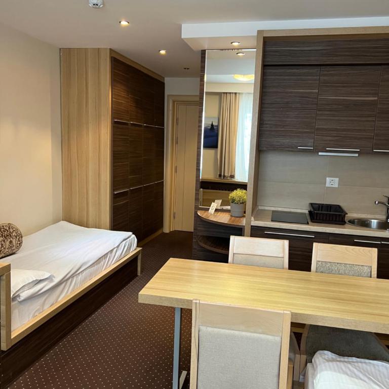 Apartments Suncani Vrhovi Kopaonik - Studio Apartment - 3