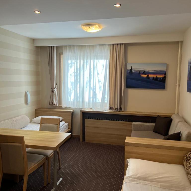 Apartments Suncani Vrhovi Kopaonik - Studio Apartment - 6