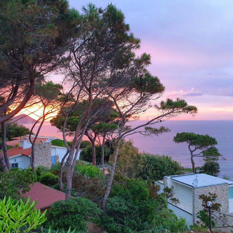 La Terrazza sul Forno - Goelba - Appartamento con 2 Camere da Letto e Vista Mare - 22