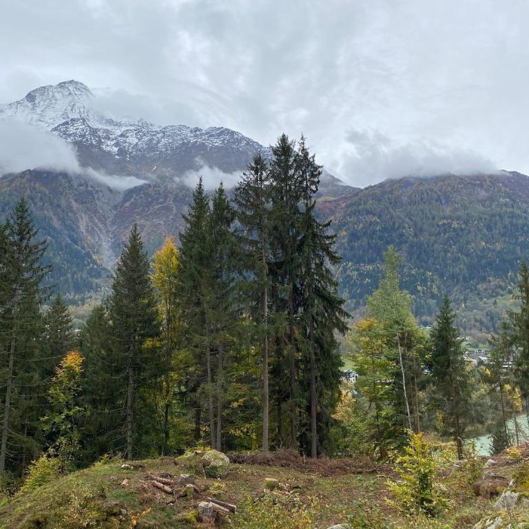 Chalet des Eaux Rousses -Renove -Prive - Vues 360 Mont Blanc - Chalet - 53