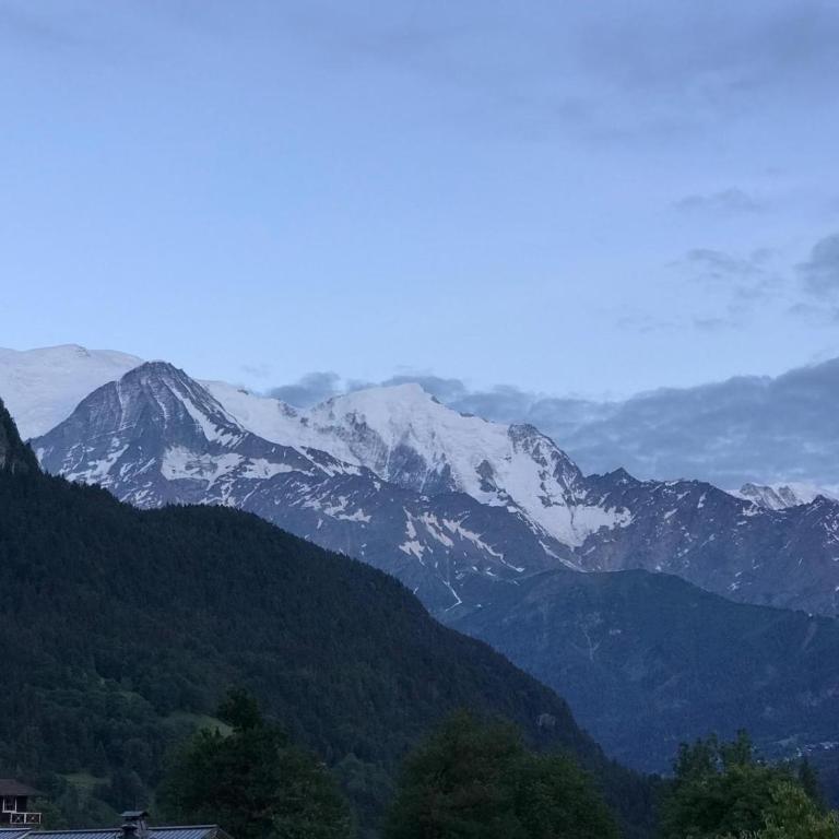 La Ferme du Mont - Chalet - 40
