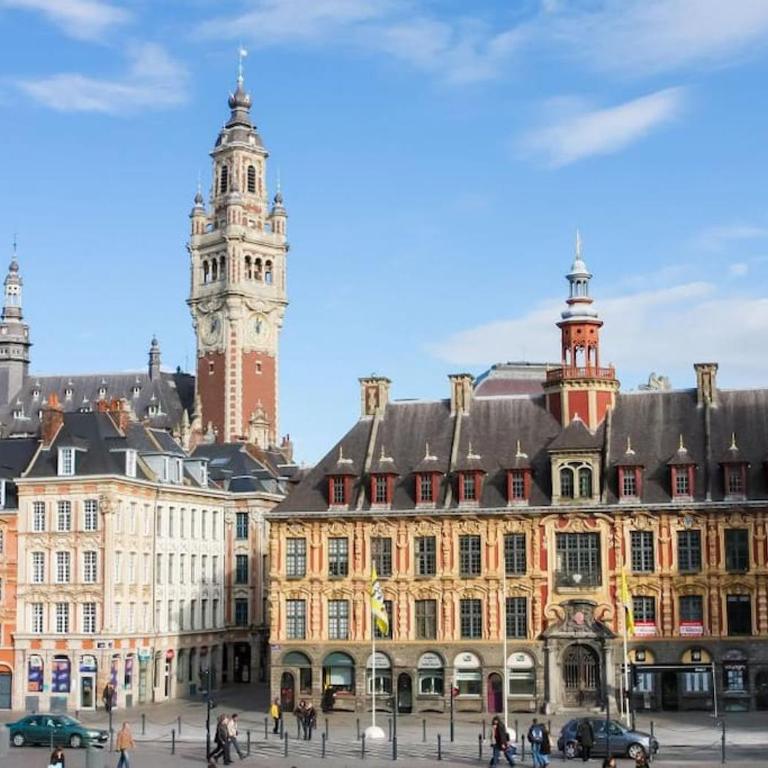 Beau Studio Rénové - Lille JB Lebas - Appartement 1 Chambre - 17