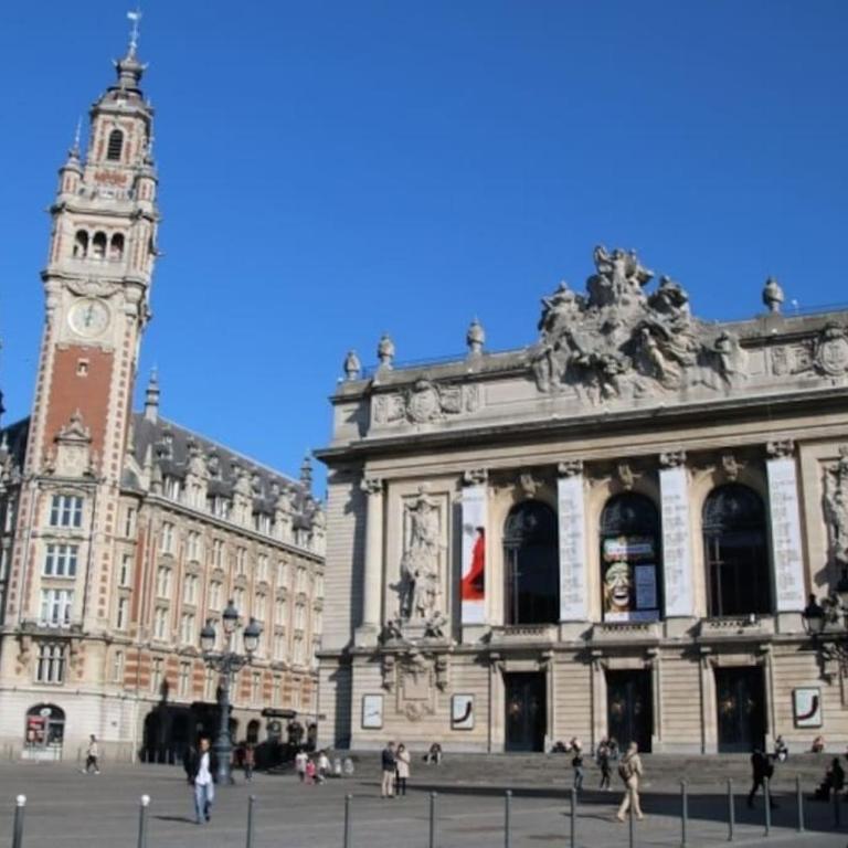 Beau Studio Rénové - Lille JB Lebas - Appartement 1 Chambre - 21
