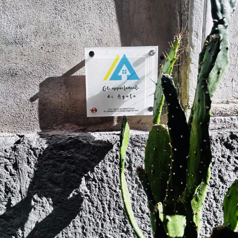 Gli appartamenti di Agata - Appartamento con 2 Camere da Letto - 18