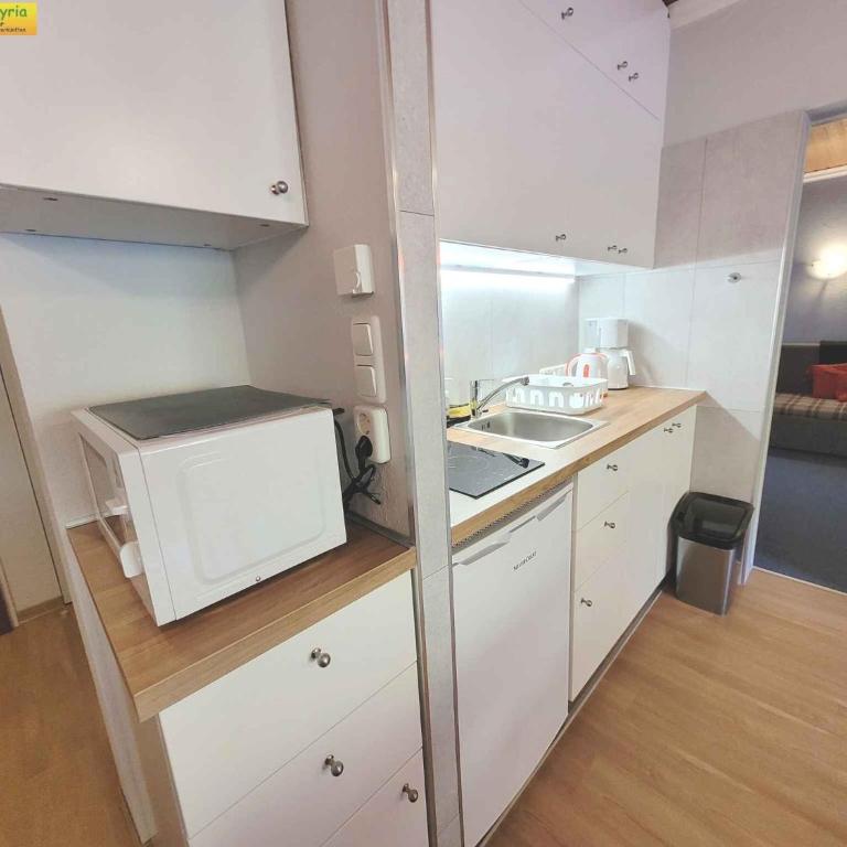Apartments in Bad Mitterndorf - Steiermark 41630 - Apartment - 17