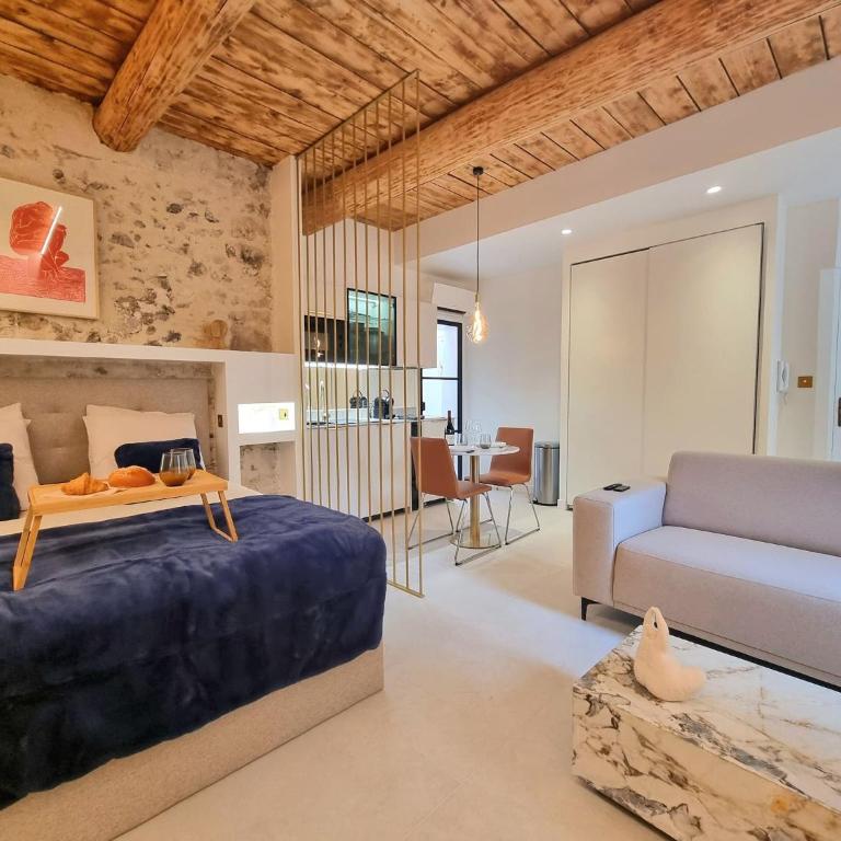25 rue Celony - Le Vendome - Jacuzzi - VideoProjecteur - Studio - 1