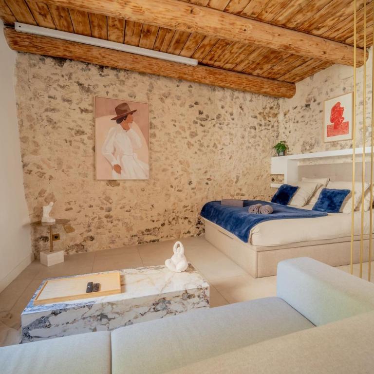 25 rue Celony - Le Vendome - Jacuzzi - VideoProjecteur - Studio - 4