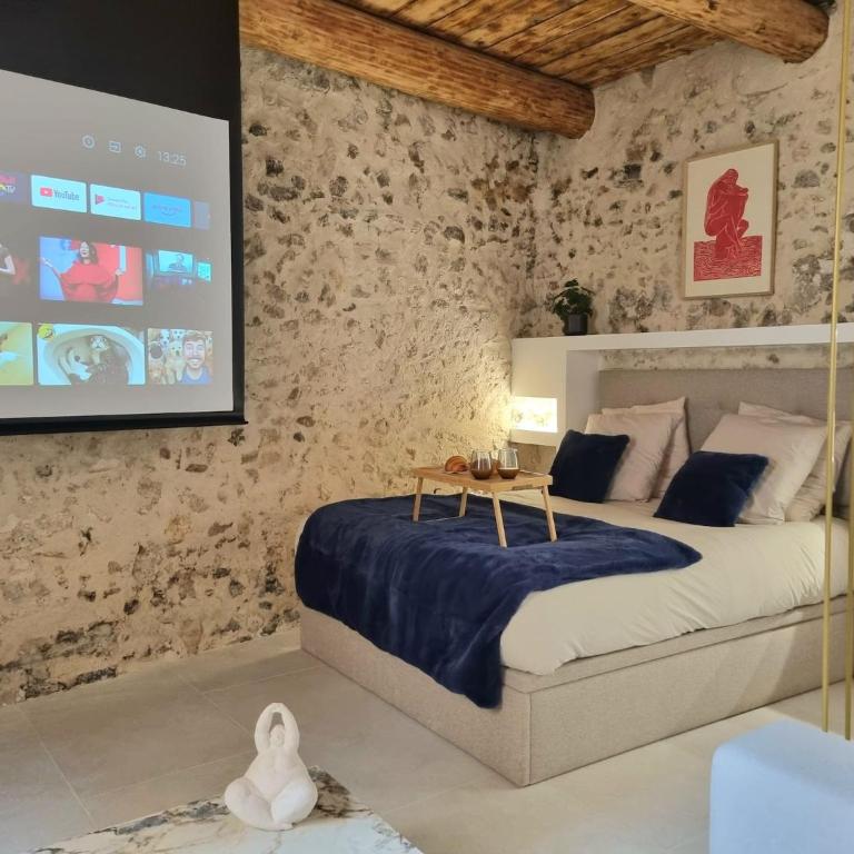 25 rue Celony - Le Vendome - Jacuzzi - VideoProjecteur - Studio - 6