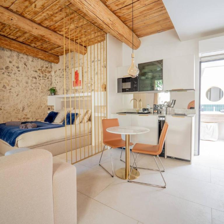 25 rue Celony - Le Vendome - Jacuzzi - VideoProjecteur - Studio - 7