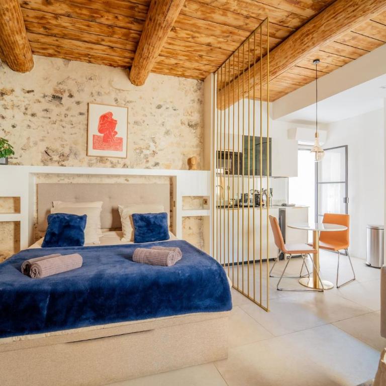 25 rue Celony - Le Vendome - Jacuzzi - VideoProjecteur - Studio - 2