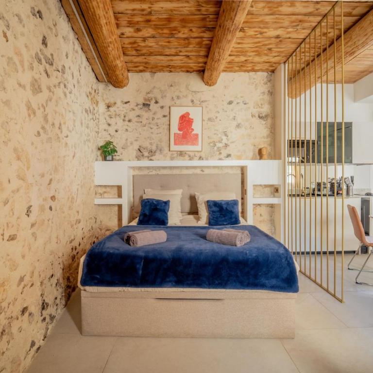 25 rue Celony - Le Vendome - Jacuzzi - VideoProjecteur - Studio - 24