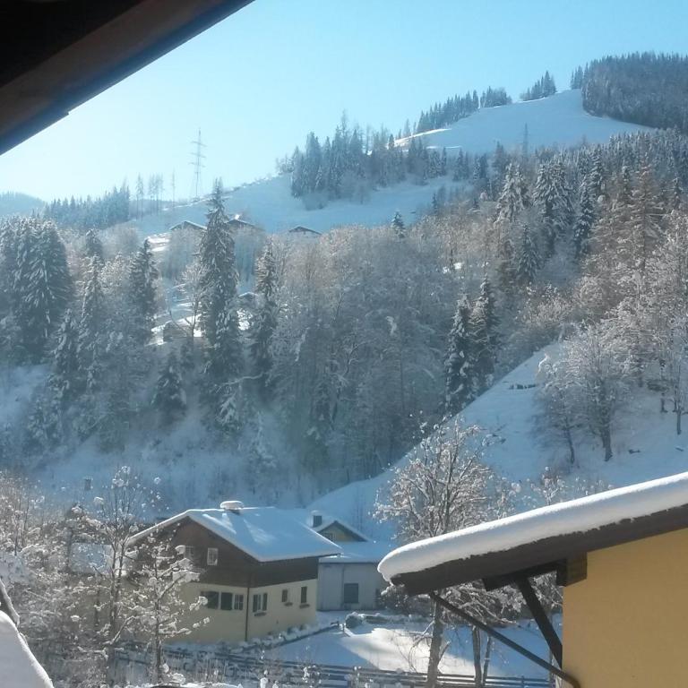 Haus Schneeberg mit Hochkönig Card - Großes Standard Apartment mit 1 Schlafzimmer und Balkon - 18