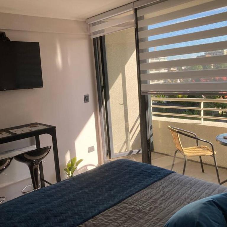 Deptos C y M sector Av Alemania Temuco - Apartamento de 1 dormitorio - 35