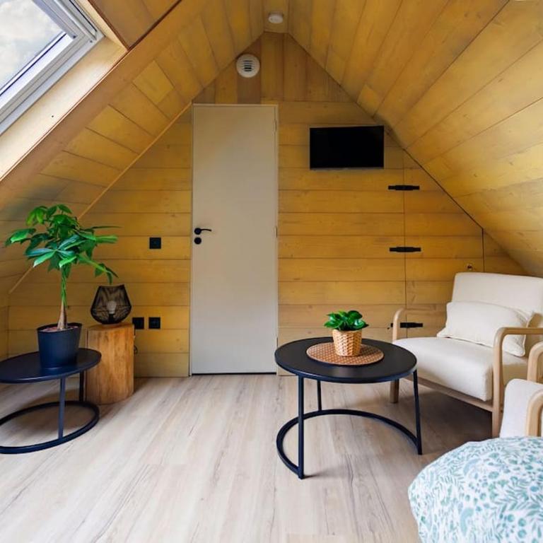Le petit chalet du centre-ville - Appartamento con 1 Camera da Letto - 1